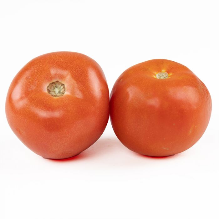 5x6 Tomato : lb