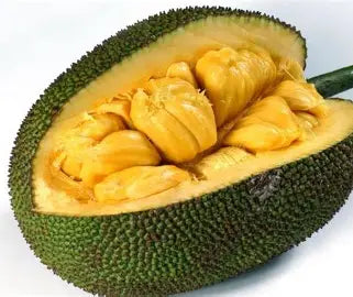 Jackfruit Yellow : /lb