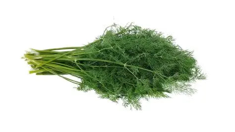 Dill Bunch : Each
