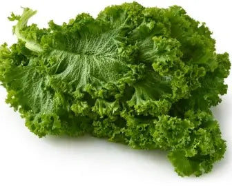 Curly Mustard Green Bunch : Each