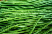 Green Beans : lb
