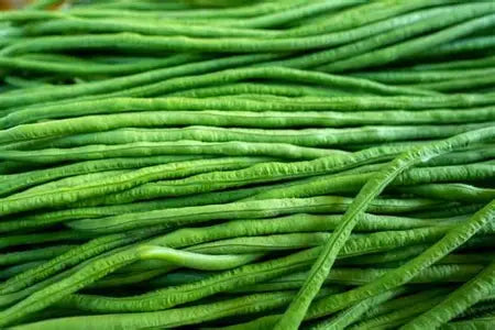 Green Beans : lb