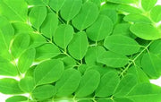 Moringa Leaves : /lb