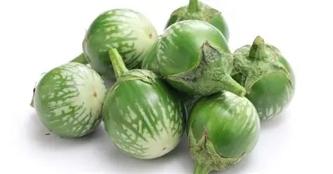 Thai Eggplant : /lb