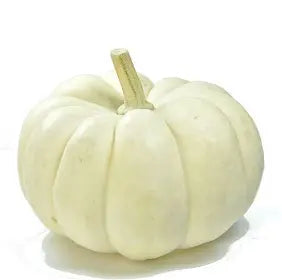 Whole White Pumpkin : /lb