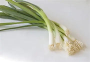 Scallion Bunch : Each