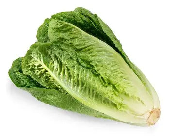 Romania Lettuce : Each