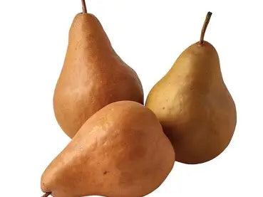 Pear Bosc : /lb