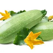 Grey Zucchini : /lb