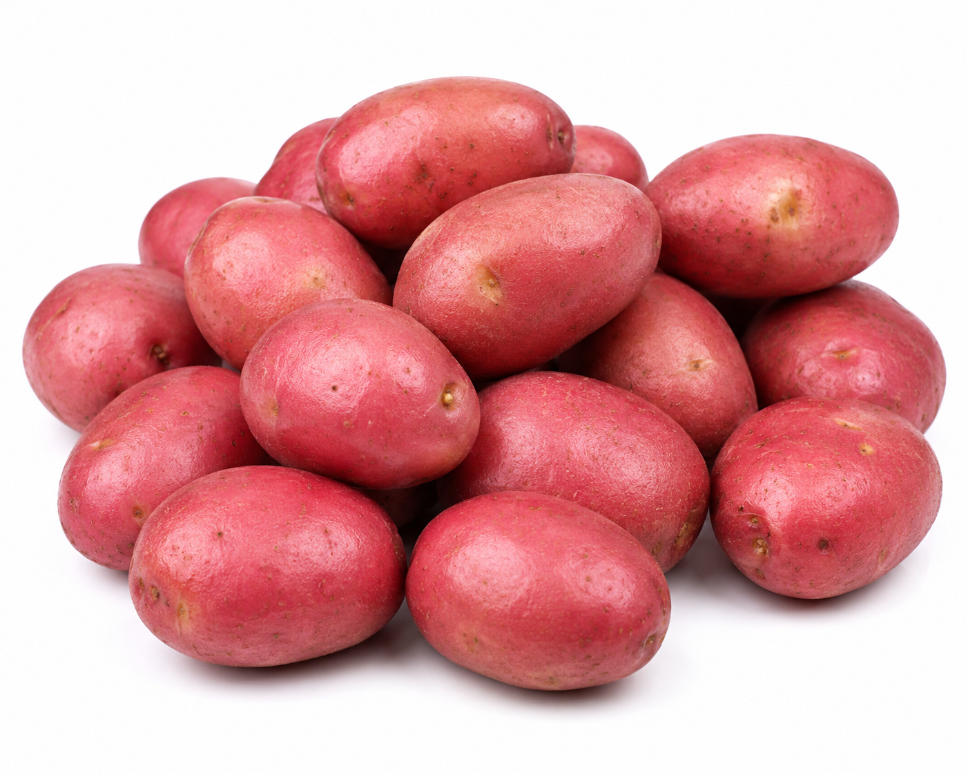 Creamer Red Potato
