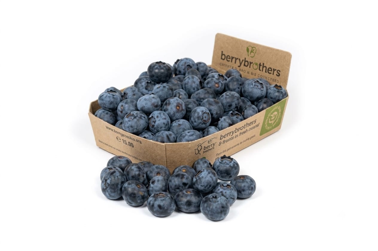 Berry Brothers Blueberries, 1box