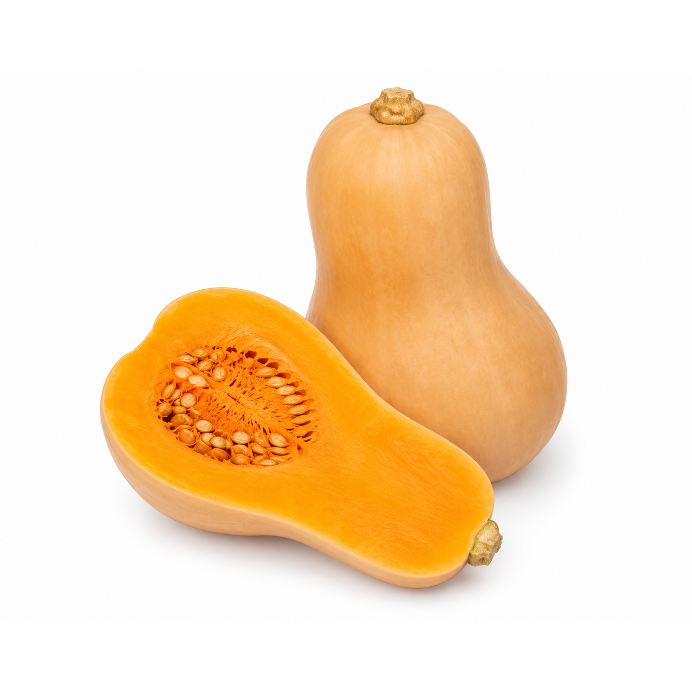 Butternut Squash