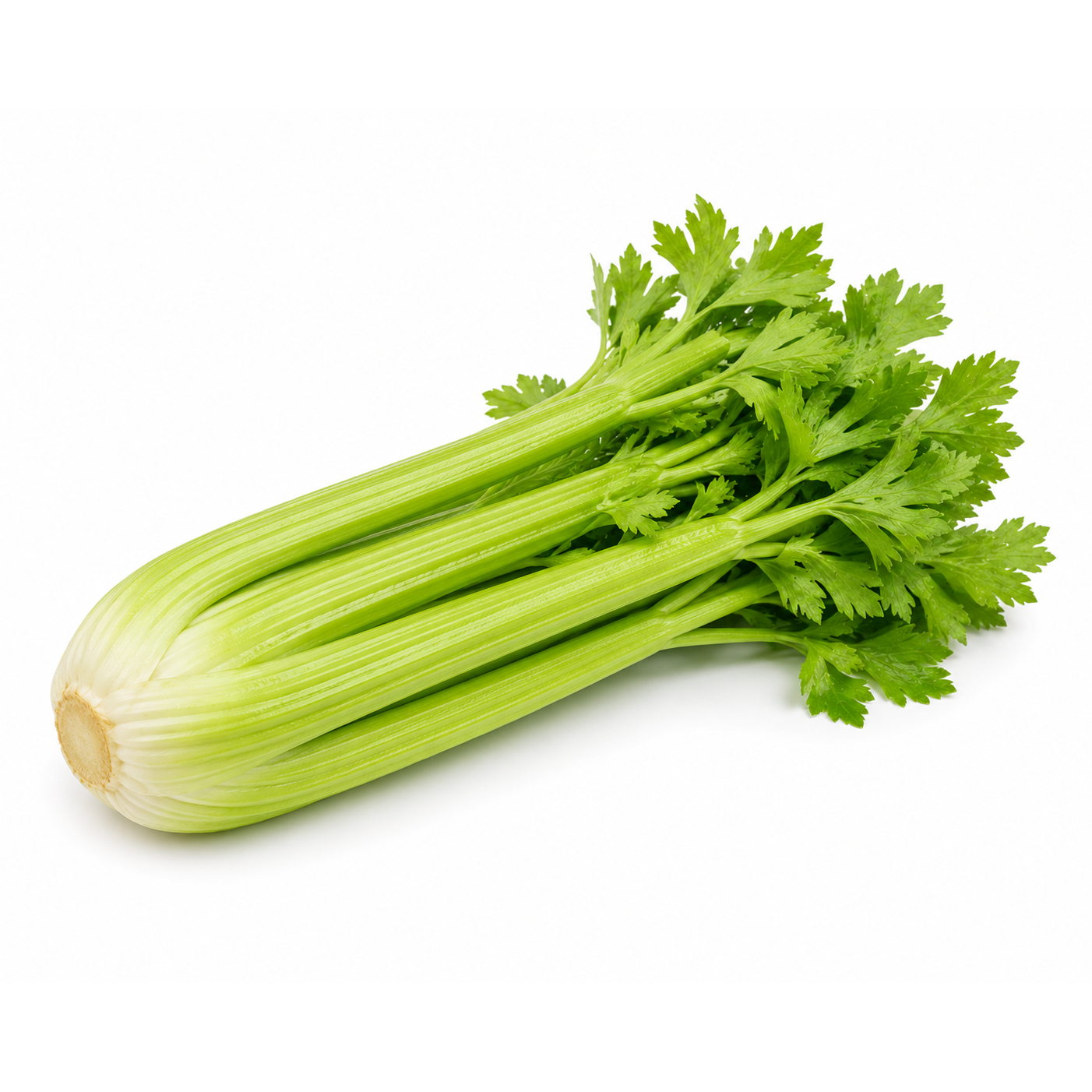 Celery Hearts