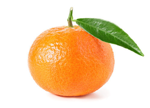 SMALL Tangerine