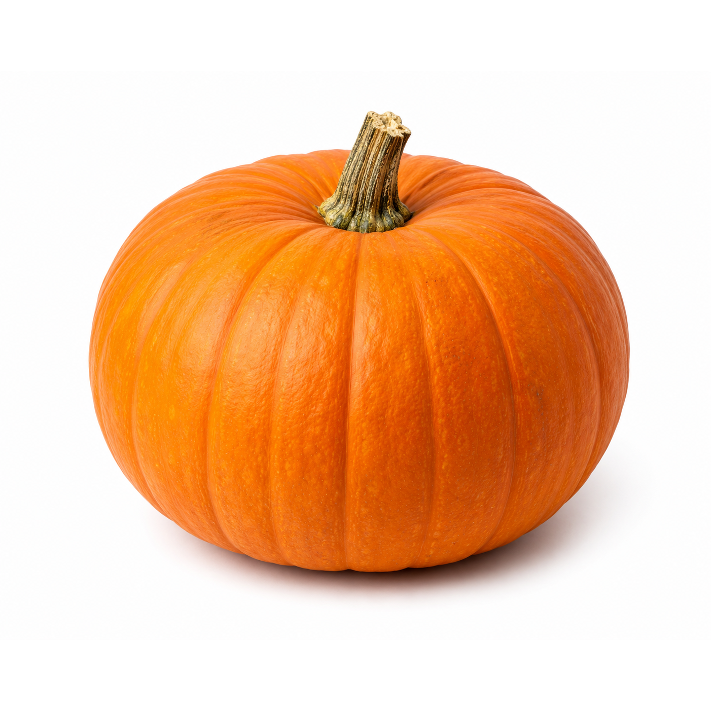 Regular Pumpkin