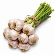 Garlic Bunch