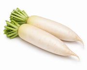 Daikon Radish