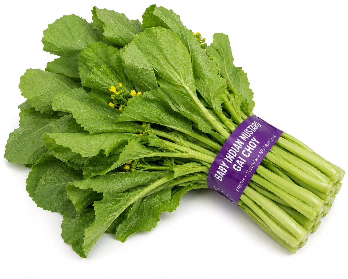Baby Indian Mustard Gai Choy
