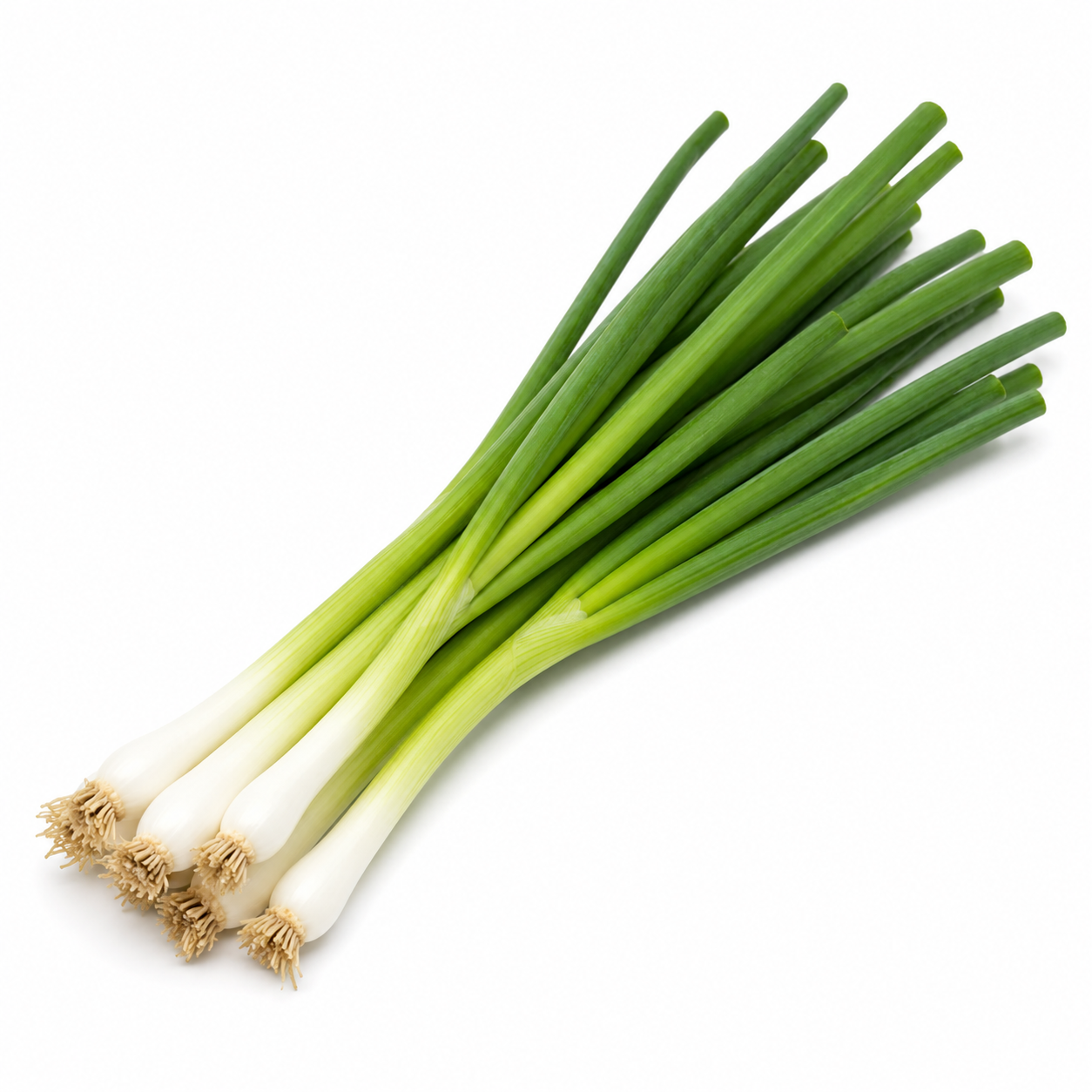 Scallion BUNCH