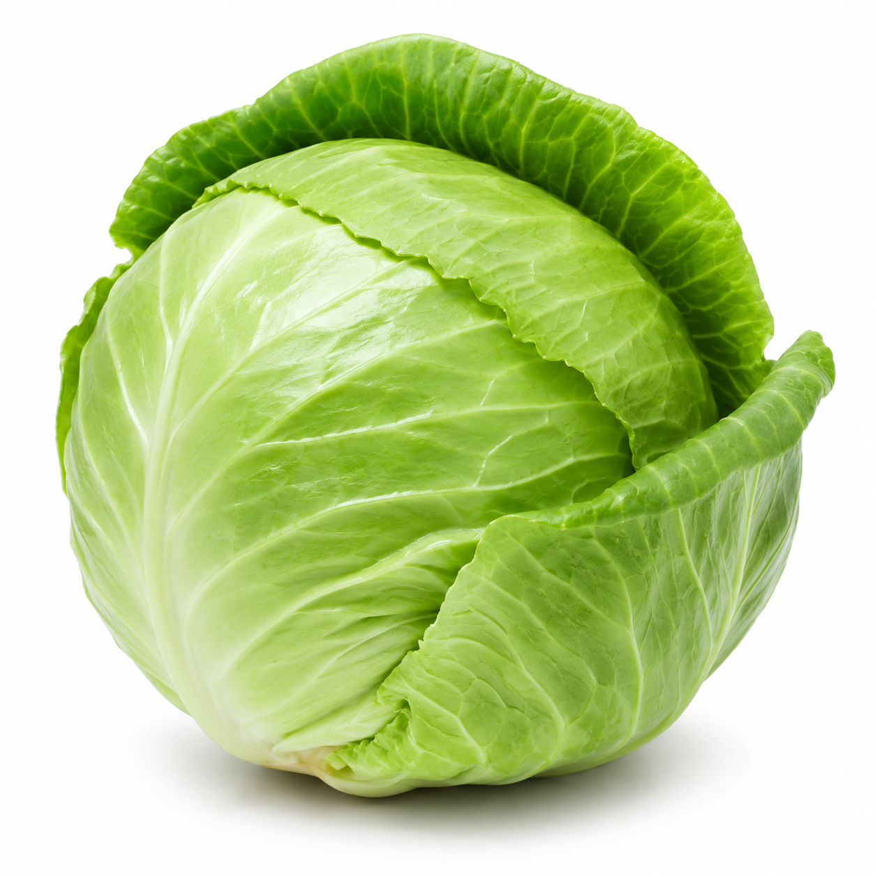 Green Cabbage