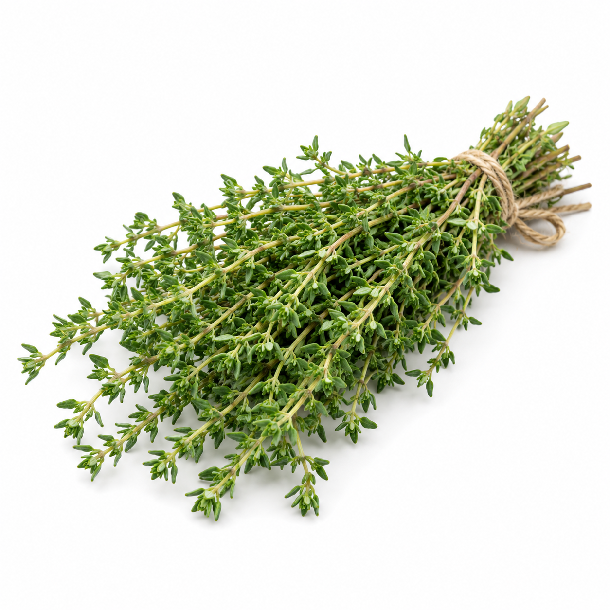 Thyme