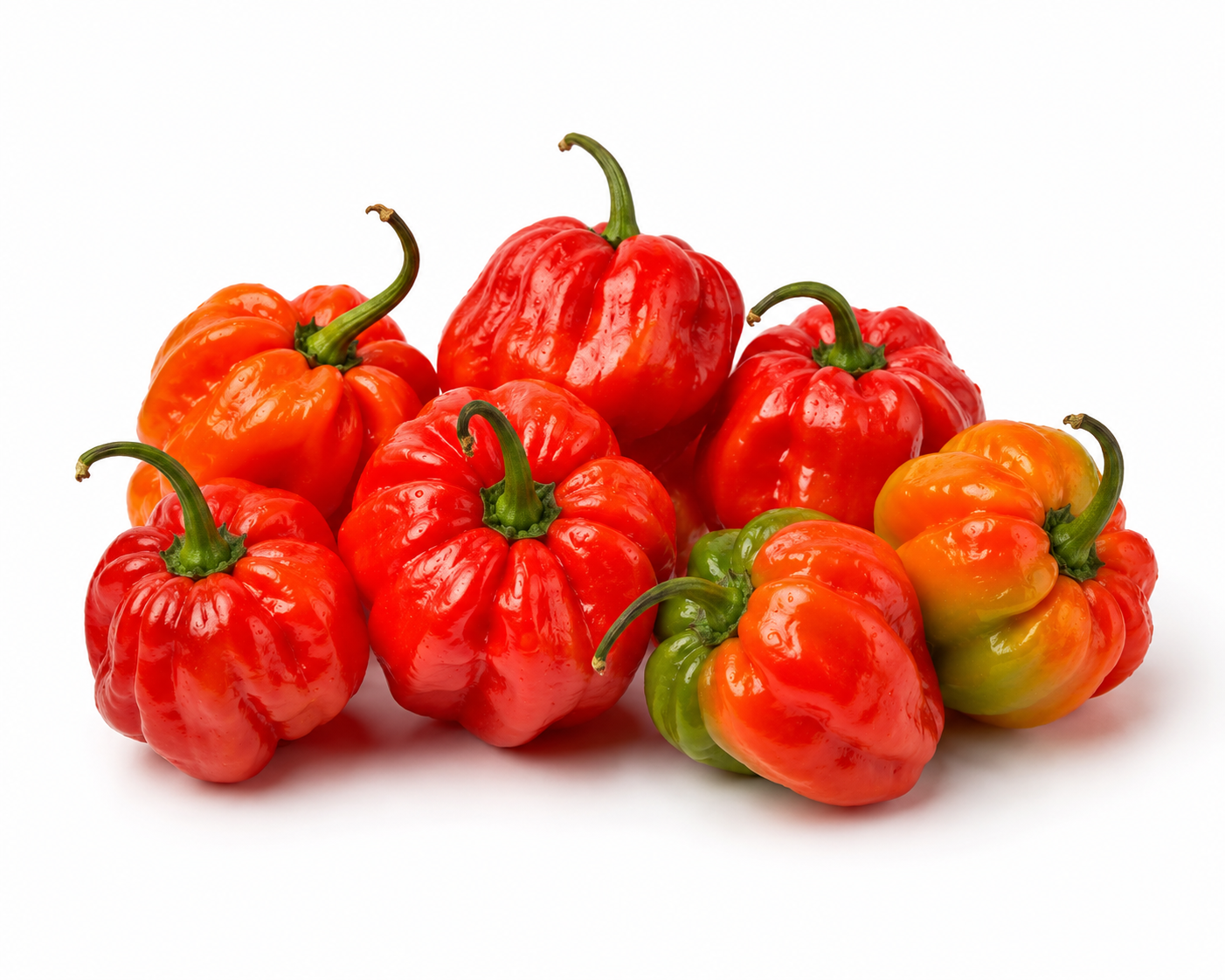 Jamaican Pepper