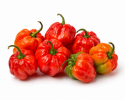 Jamaican Pepper