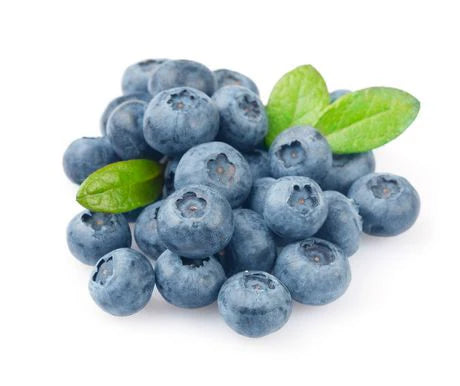 FRUITIST BLUEBERRIES : 551ML