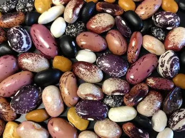 Beans