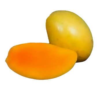 MINGOLO MANGO