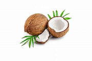 Dry Coconut Whole : Each