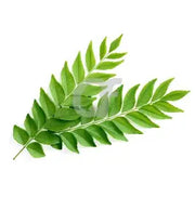 Curry Leaves (1 Pack)