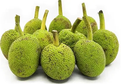 Jackfruit Green Small : /lb