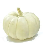 Whole White Pumpkin : /lb