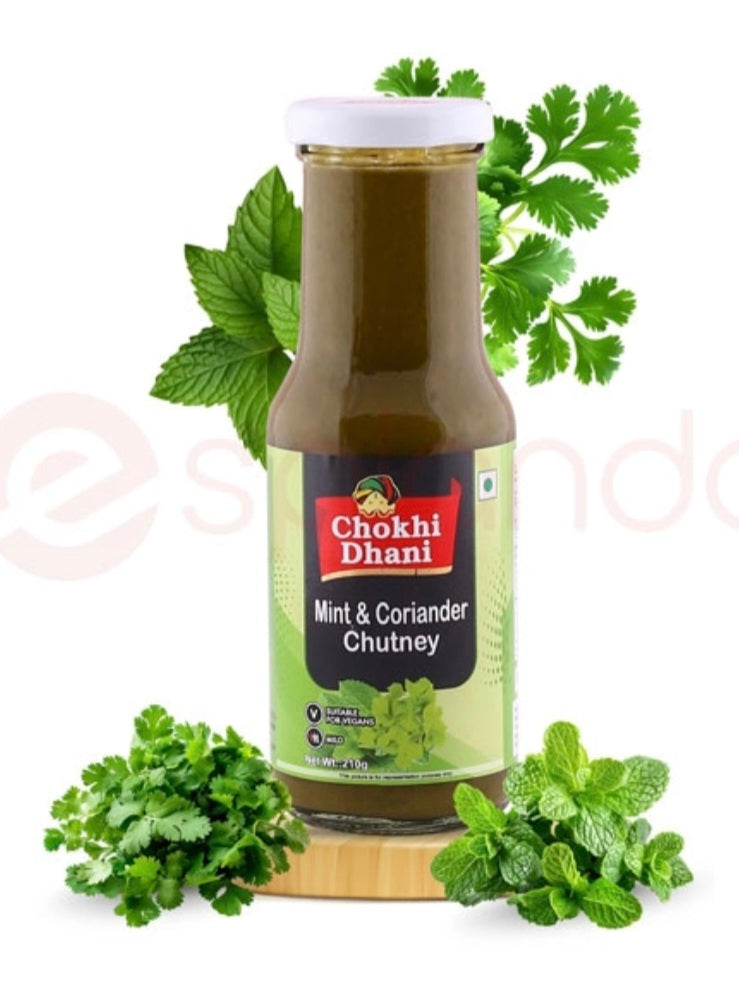Chokhi Dhani Mint Chutney : 450g