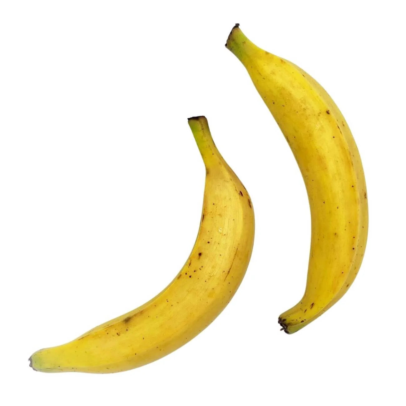 Yellow Plantain