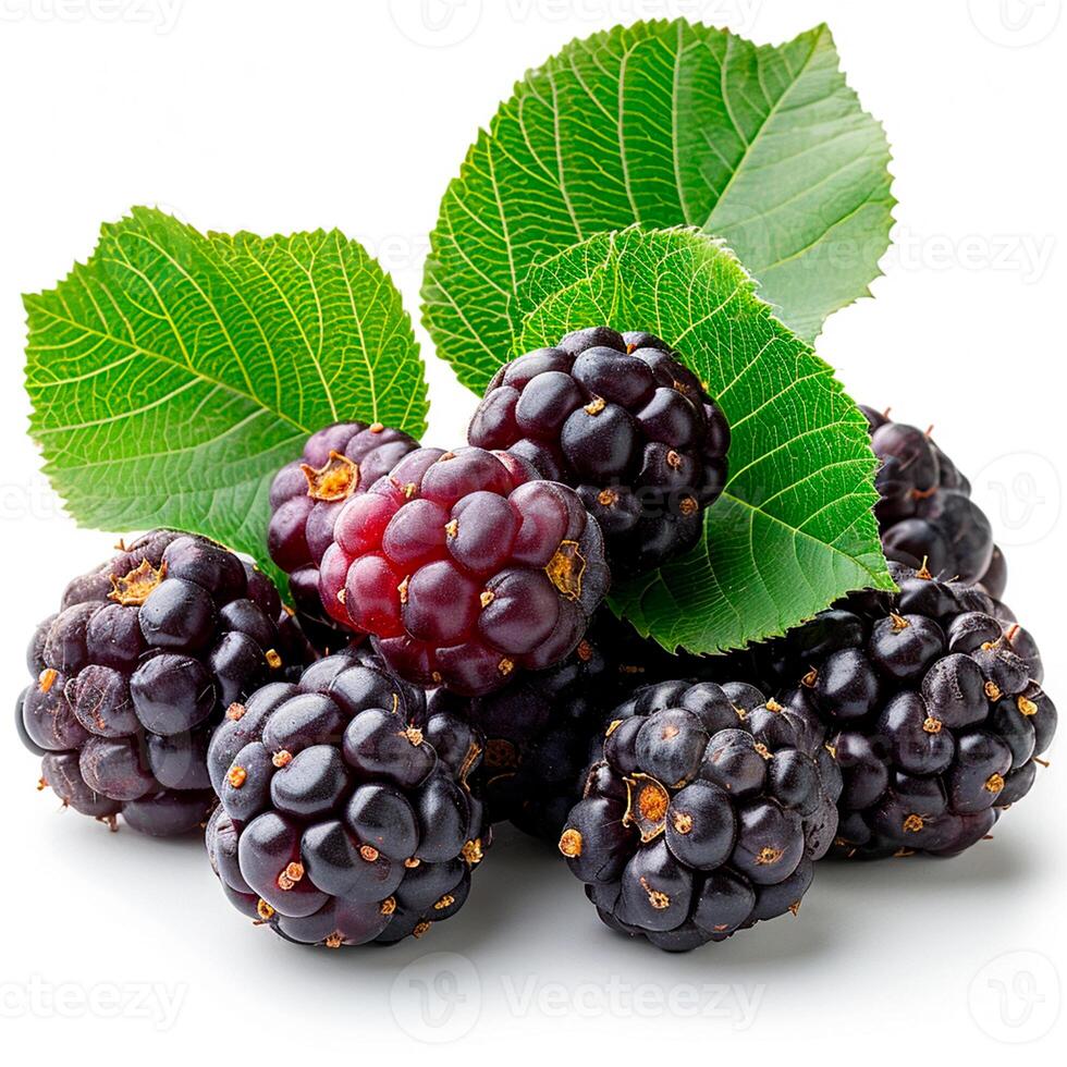 Loose Black Mulberry