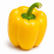 Yellow Bell Pepper