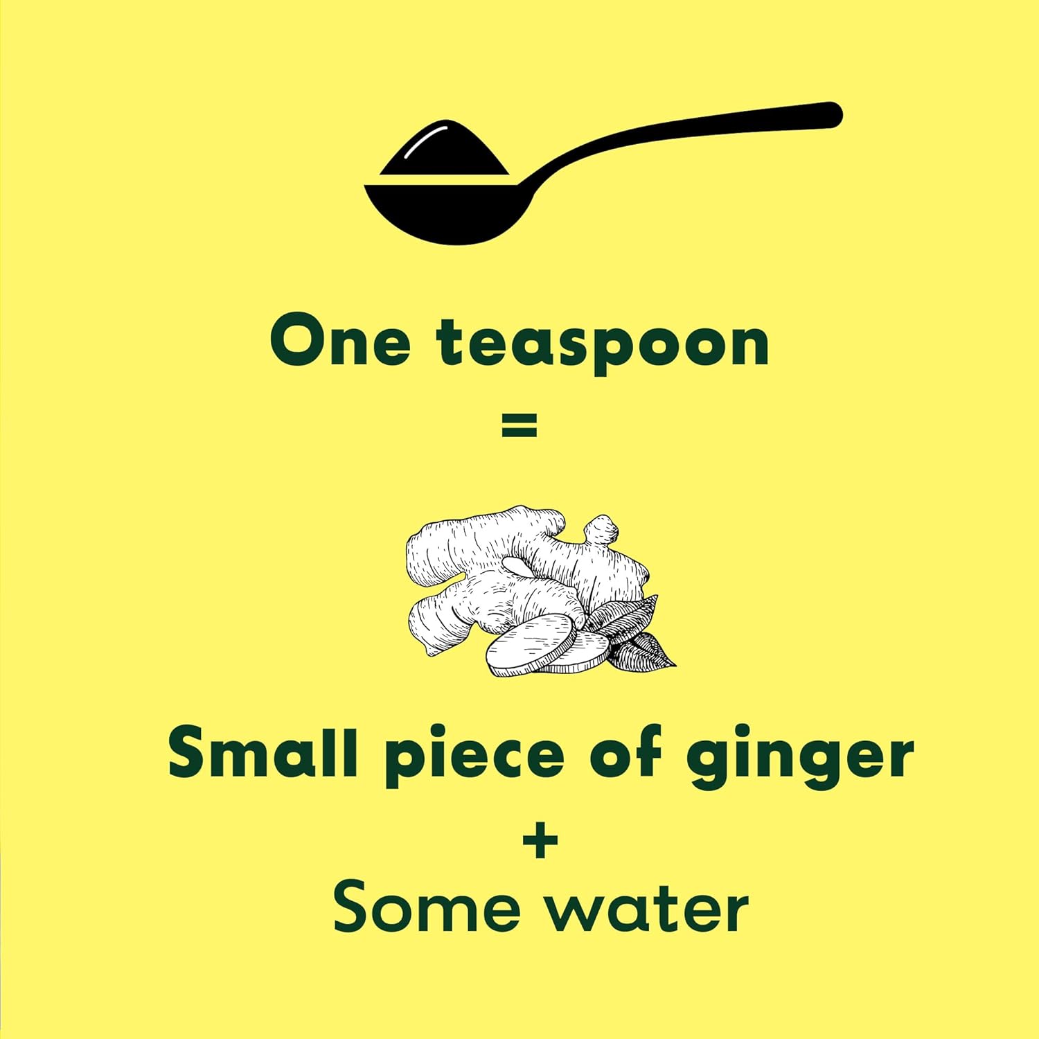 Chokhi Dhani Ginger Paste - 300 gm
