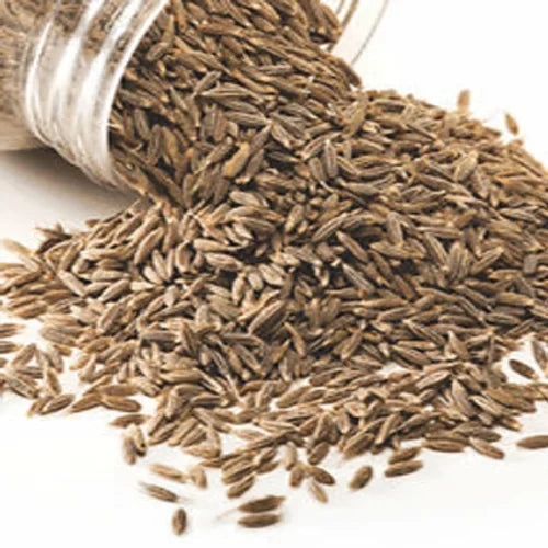 Deep Cumin Seed 14 oz