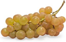 Muscat Seedless Grape 1 lb