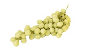 Sugra 19 grapes
