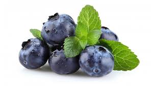 CAMPOSOL BLUEBERRY :