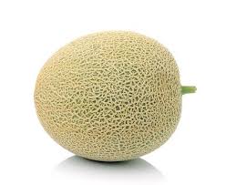 Rockmelon (small)