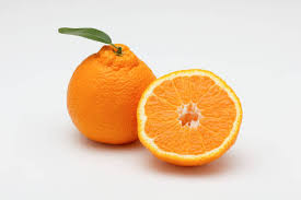 Sumo orange