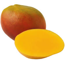 Haden / TOMMY Mango