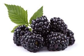 Profresh blacberries : 6 oz