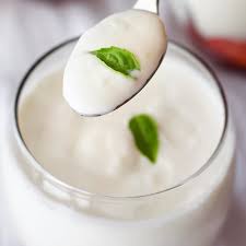 Rajbhog Dahi Whole Yogurt 5 lb