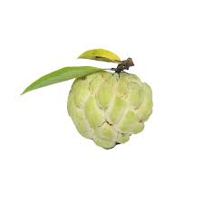 Custard Apple (Sitaphal)