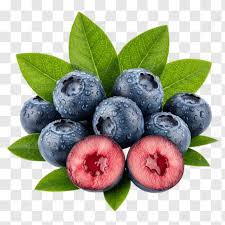 Berry Fresh Blueberries